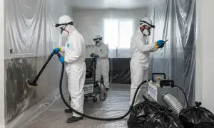 Mold remediation services in Carlsbad, CA for water damage restoration home page widget